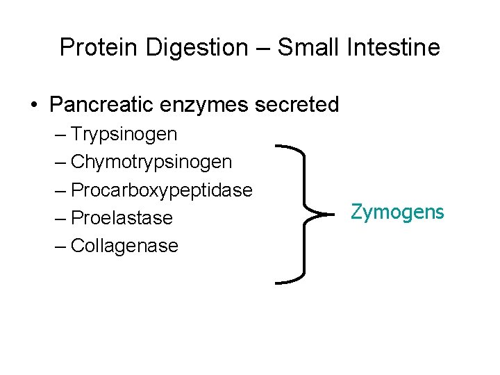 Protein Digestion – Small Intestine • Pancreatic enzymes secreted – Trypsinogen – Chymotrypsinogen –