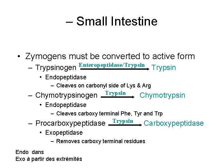 – Small Intestine • Zymogens must be converted to active form – Trypsinogen Enteropeptidase/Trypsin