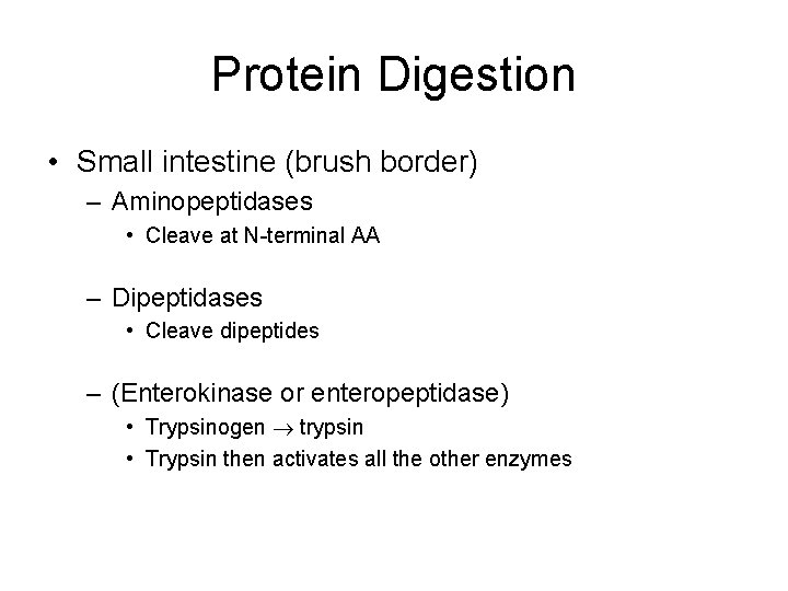 Protein Digestion • Small intestine (brush border) – Aminopeptidases • Cleave at N-terminal AA