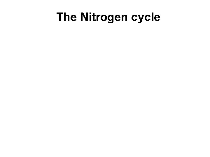 The Nitrogen cycle 