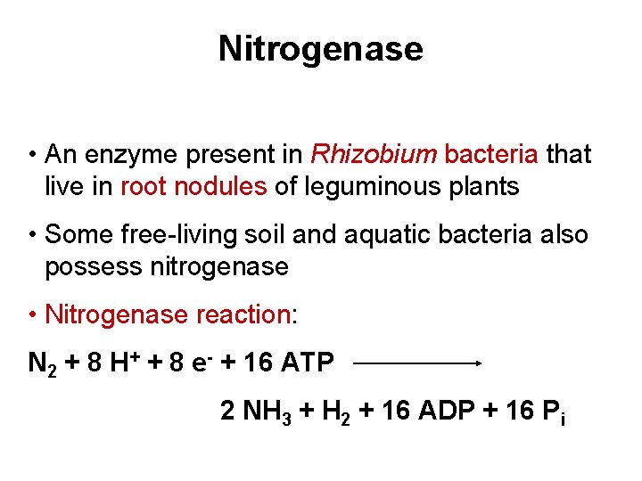 Nitrogenase • An enzyme present in Rhizobium bacteria that live in root nodules of