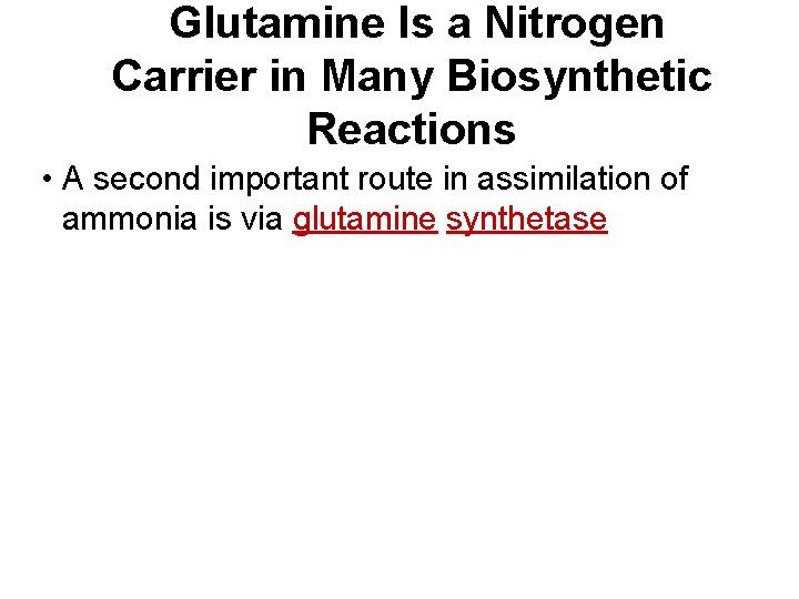 Glutamine Is a Nitrogen Carrier in Many Biosynthetic Reactions • A second important route