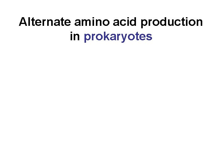 Alternate amino acid production in prokaryotes 