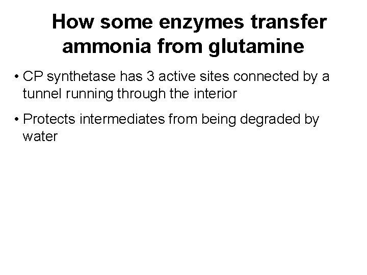How some enzymes transfer ammonia from glutamine • CP synthetase has 3 active sites