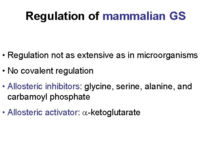 Regulation of mammalian GS • Regulation not as extensive as in microorganisms • No