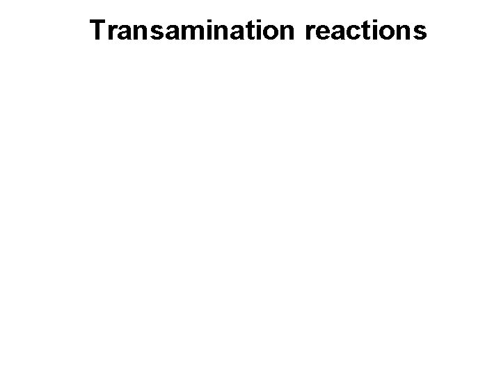 Transamination reactions 