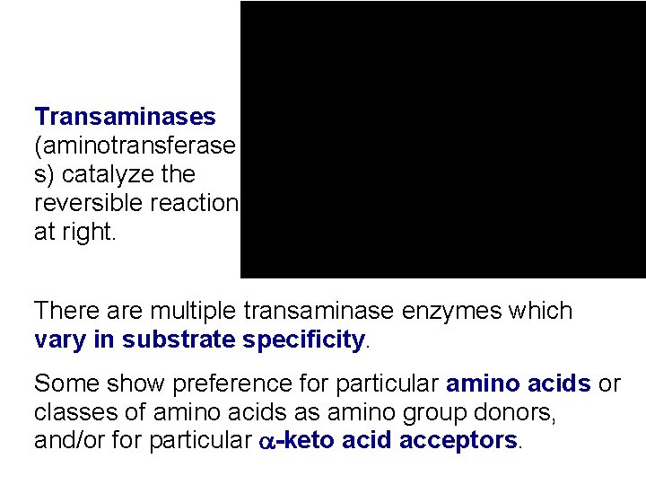Transaminases (aminotransferase s) catalyze the reversible reaction at right. There are multiple transaminase enzymes