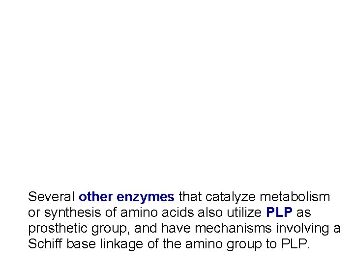 Several other enzymes that catalyze metabolism or synthesis of amino acids also utilize PLP