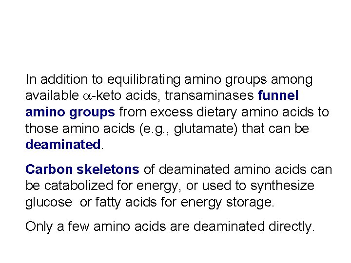 In addition to equilibrating amino groups among available a-keto acids, transaminases funnel amino groups
