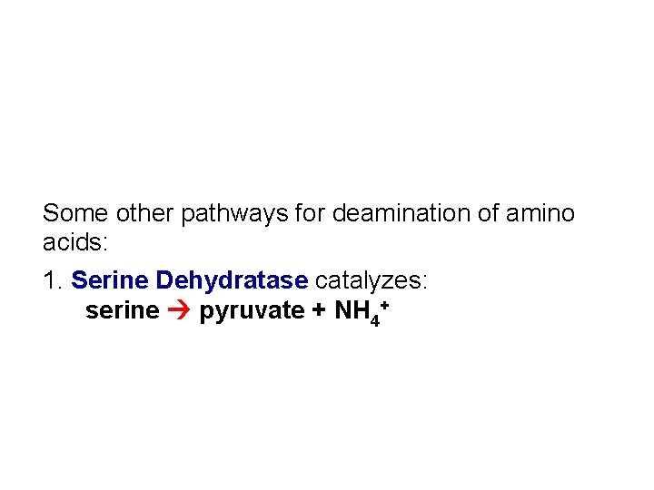 Some other pathways for deamination of amino acids: 1. Serine Dehydratase catalyzes: serine pyruvate