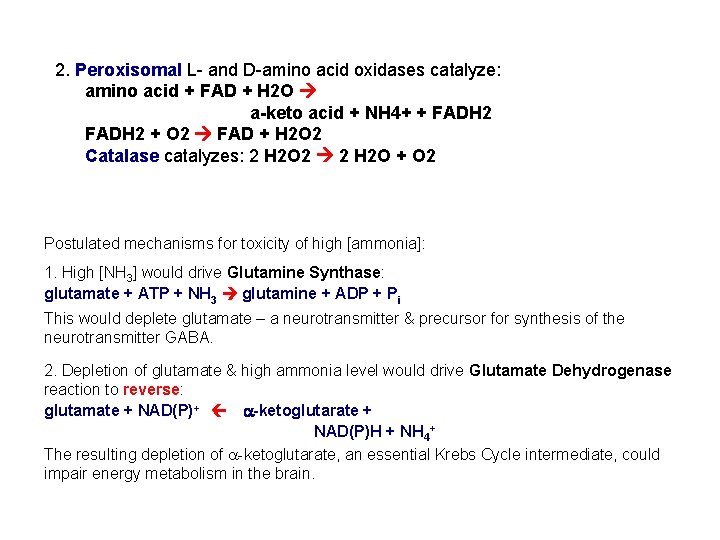 2. Peroxisomal L- and D-amino acid oxidases catalyze: amino acid + FAD + H