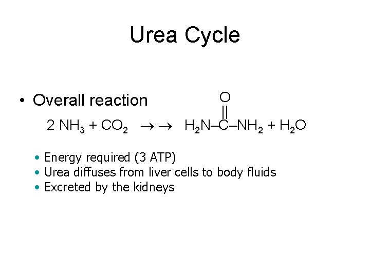 Urea Cycle O || 2 NH 3 + CO 2 H 2 N–C–NH 2