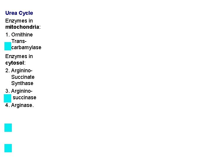 Urea Cycle Enzymes in mitochondria: 1. Ornithine Trans carbamylase Enzymes in cytosol: 2. Arginino