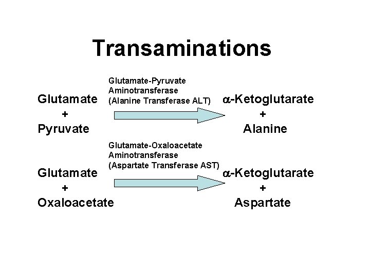 Transaminations Glutamate + Pyruvate Glutamate-Pyruvate Aminotransferase (Alanine Transferase ALT) Glutamate-Oxaloacetate Aminotransferase (Aspartate Transferase AST)