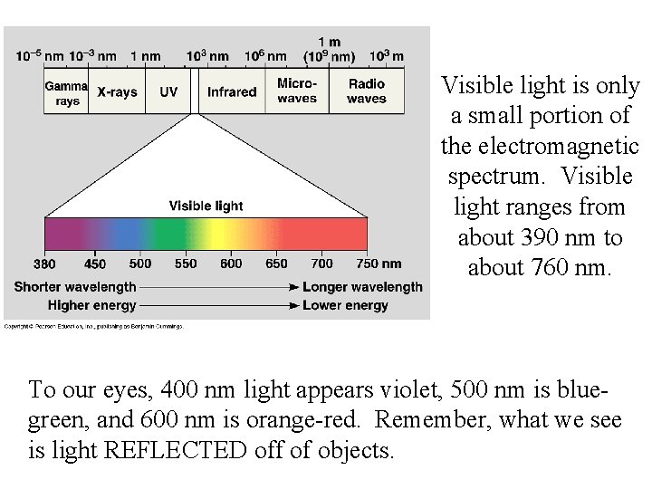 Visible light is only a small portion of the electromagnetic spectrum. Visible light ranges