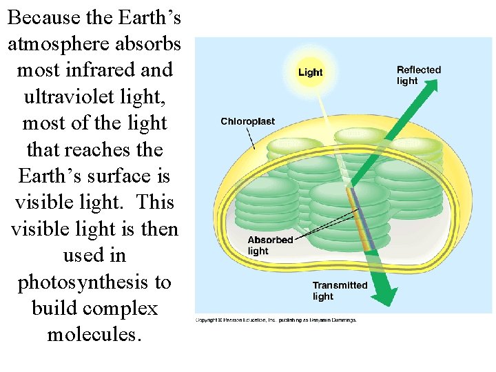 Because the Earth’s atmosphere absorbs most infrared and ultraviolet light, most of the light