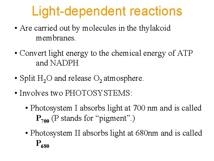 Light-dependent reactions • Are carried out by molecules in the thylakoid membranes. • Convert