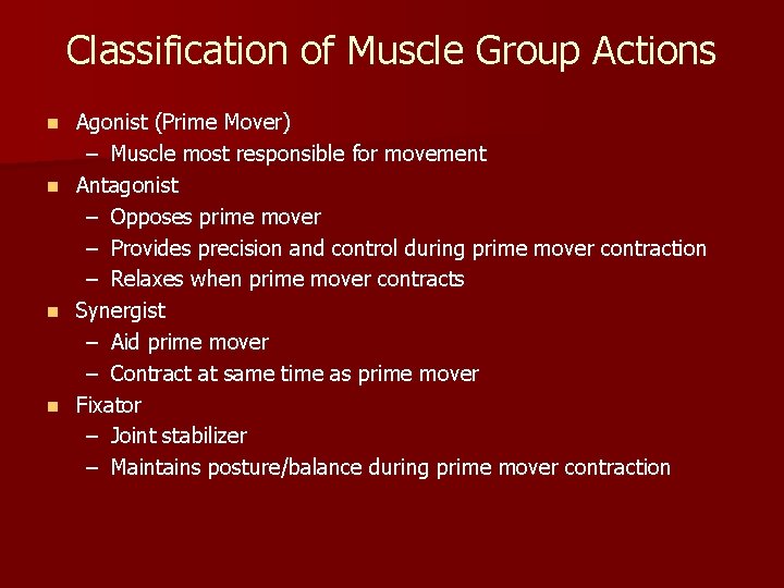 Classification of Muscle Group Actions Agonist (Prime Mover) – Muscle most responsible for movement
