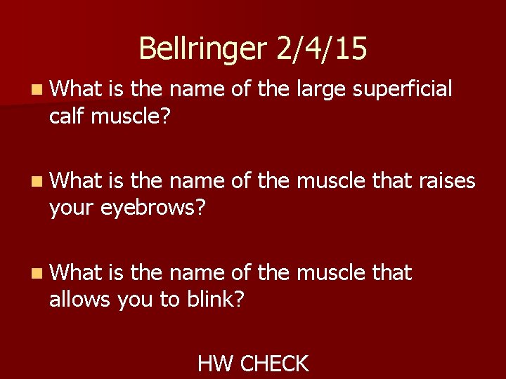 Bellringer 2/4/15 n What is the name of the large superficial calf muscle? n