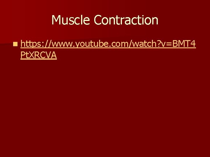 Muscle Contraction n https: //www. youtube. com/watch? v=BMT 4 Pt. XRCVA 