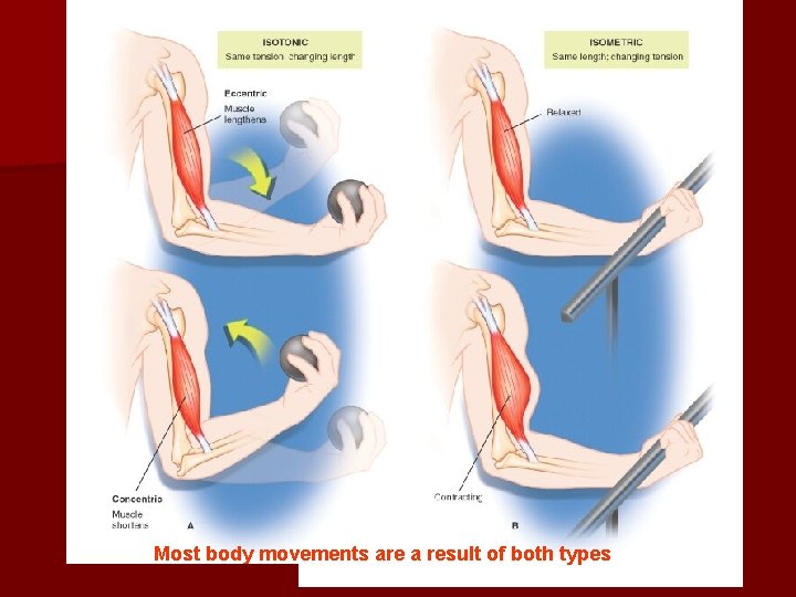 Most body movements are a result of both types 