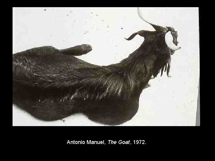 Antonio Manuel, The Goat, 1972. 