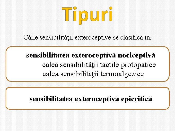 Tipuri Căile sensibilităţii exteroceptive se clasifica in: sensibilitatea exteroceptivă nociceptivă calea sensibilităţii tactile protopatice