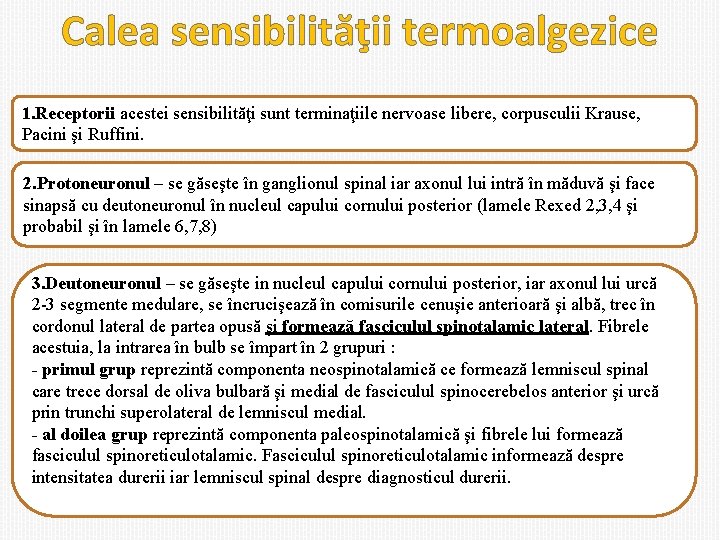 Calea sensibilităţii termoalgezice 1. Receptorii acestei sensibilităţi sunt terminaţiile nervoase libere, corpusculii Krause, Pacini