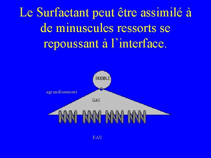 Le Surfactant peut être assimilé à de minuscules ressorts se repoussant à l’interface. agrandissement