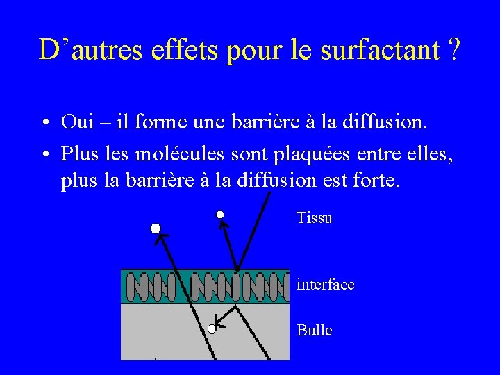 D’autres effets pour le surfactant ? • Oui – il forme une barrière à