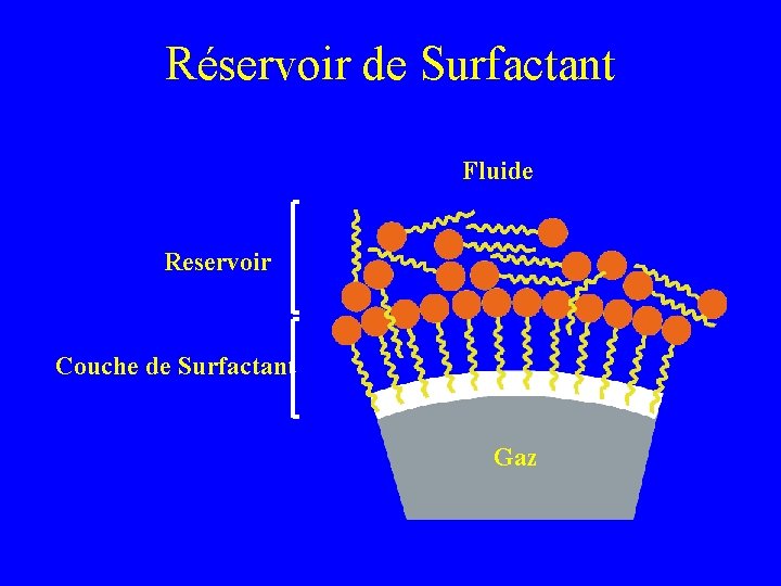 Réservoir de Surfactant Fluide Reservoir Couche de Surfactant Gaz 