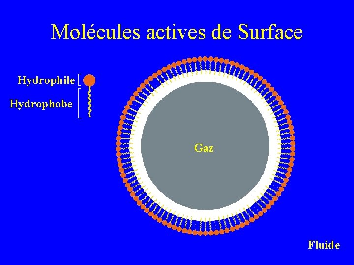 Molécules actives de Surface Hydrophile Hydrophobe Gaz Fluide 