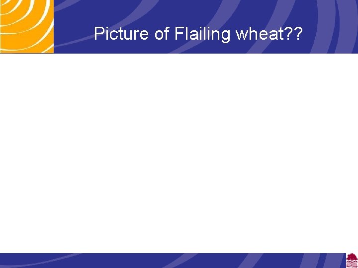 Picture of Flailing wheat? ? 