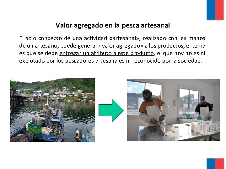 Valor agregado en la pesca artesanal El solo concepto de una actividad «artesanal» ,