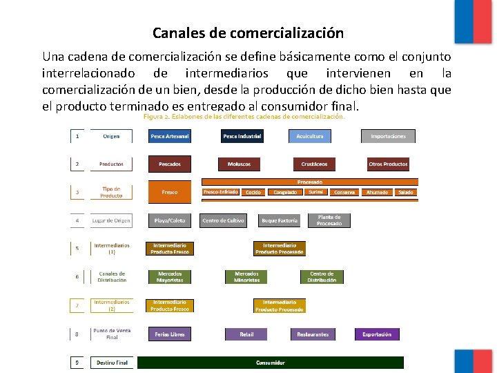 Canales de comercialización Una cadena de comercialización se define básicamente como el conjunto interrelacionado