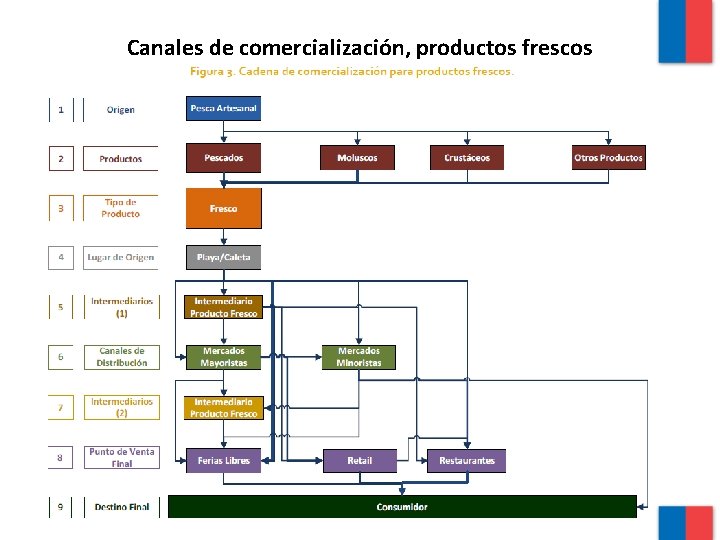 Canales de comercialización, productos frescos 