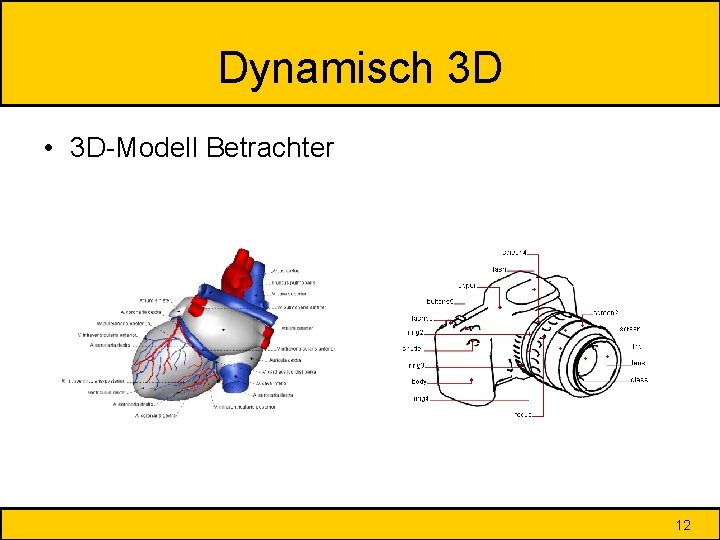 Dynamisch 3 D • 3 D-Modell Betrachter 12 