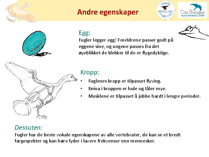 Andre egenskaper Egg: Fugler legger egg! Foreldrene passer godt på eggene sine, og ungene