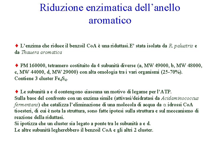 Riduzione enzimatica dell’anello aromatico L’enzima che riduce il benzoil Co. A è una riduttasi.