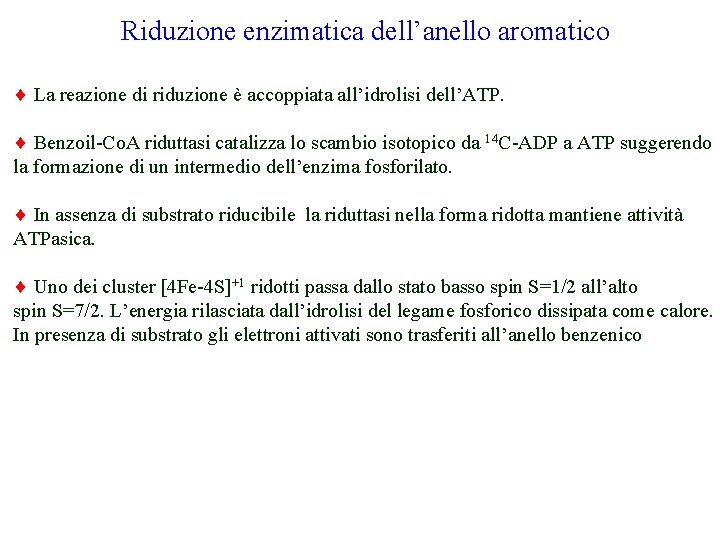 Riduzione enzimatica dell’anello aromatico La reazione di riduzione è accoppiata all’idrolisi dell’ATP. Benzoil-Co. A