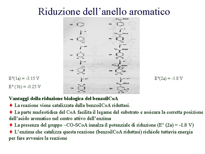 Riduzione dell’anello aromatico E°(1 a) = -3. 15 V E°(2 a) = -1. 8