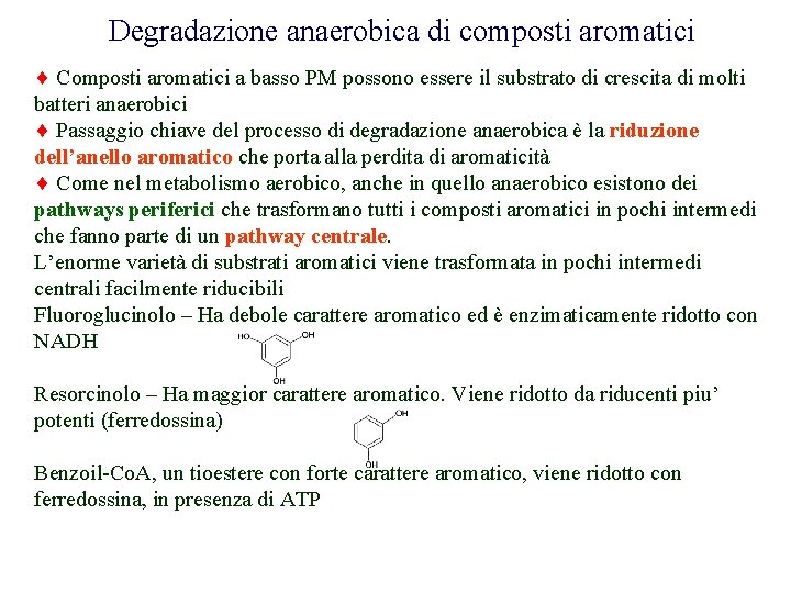 Degradazione anaerobica di composti aromatici Composti aromatici a basso PM possono essere il substrato