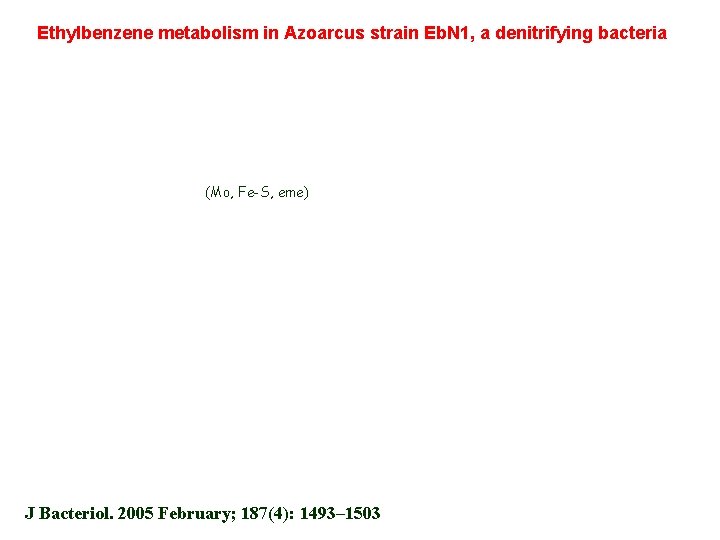Ethylbenzene metabolism in Azoarcus strain Eb. N 1, a denitrifying bacteria (Mo, Fe-S, eme)