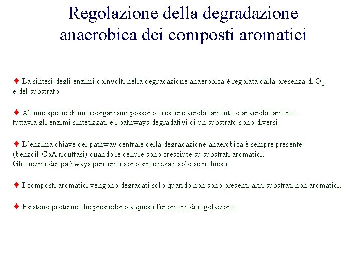 Regolazione della degradazione anaerobica dei composti aromatici La sintesi degli enzimi coinvolti nella degradazione