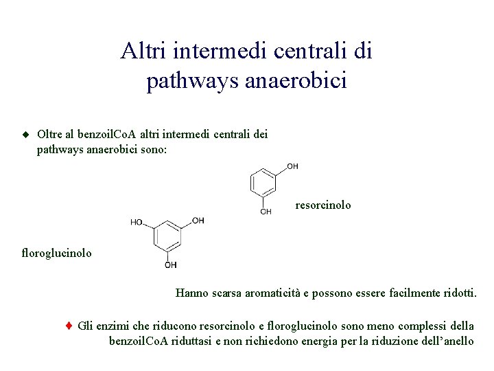 Altri intermedi centrali di pathways anaerobici Oltre al benzoil. Co. A altri intermedi centrali