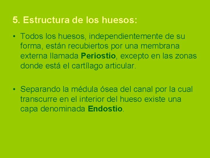 5. Estructura de los huesos: • Todos los huesos, independientemente de su forma, están