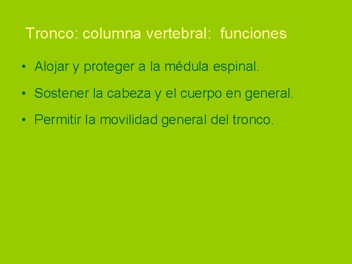  Tronco: columna vertebral: funciones • Alojar y proteger a la médula espinal. •