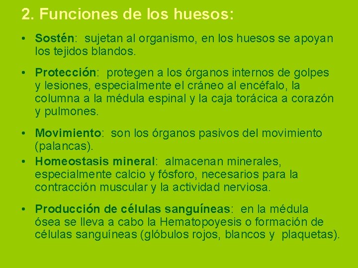 2. Funciones de los huesos: • Sostén: sujetan al organismo, en los huesos se