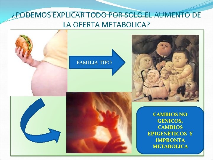 ¿PODEMOS EXPLICAR TODO POR SOLO EL AUMENTO DE LA OFERTA METABOLICA? FAMILIA TIPO CAMBIOS