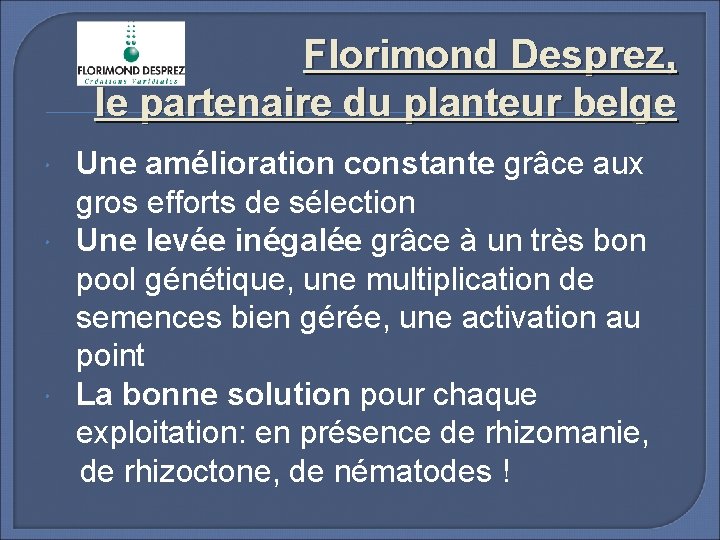 Florimond Desprez, le partenaire du planteur belge Une amélioration constante grâce aux gros efforts